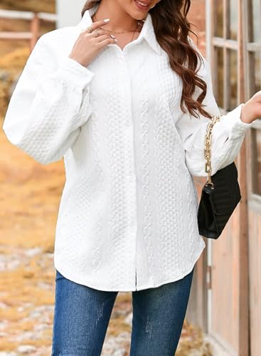 Stylish Women's Oversized Blouse with Long Lantern Sleeves and V-Neck